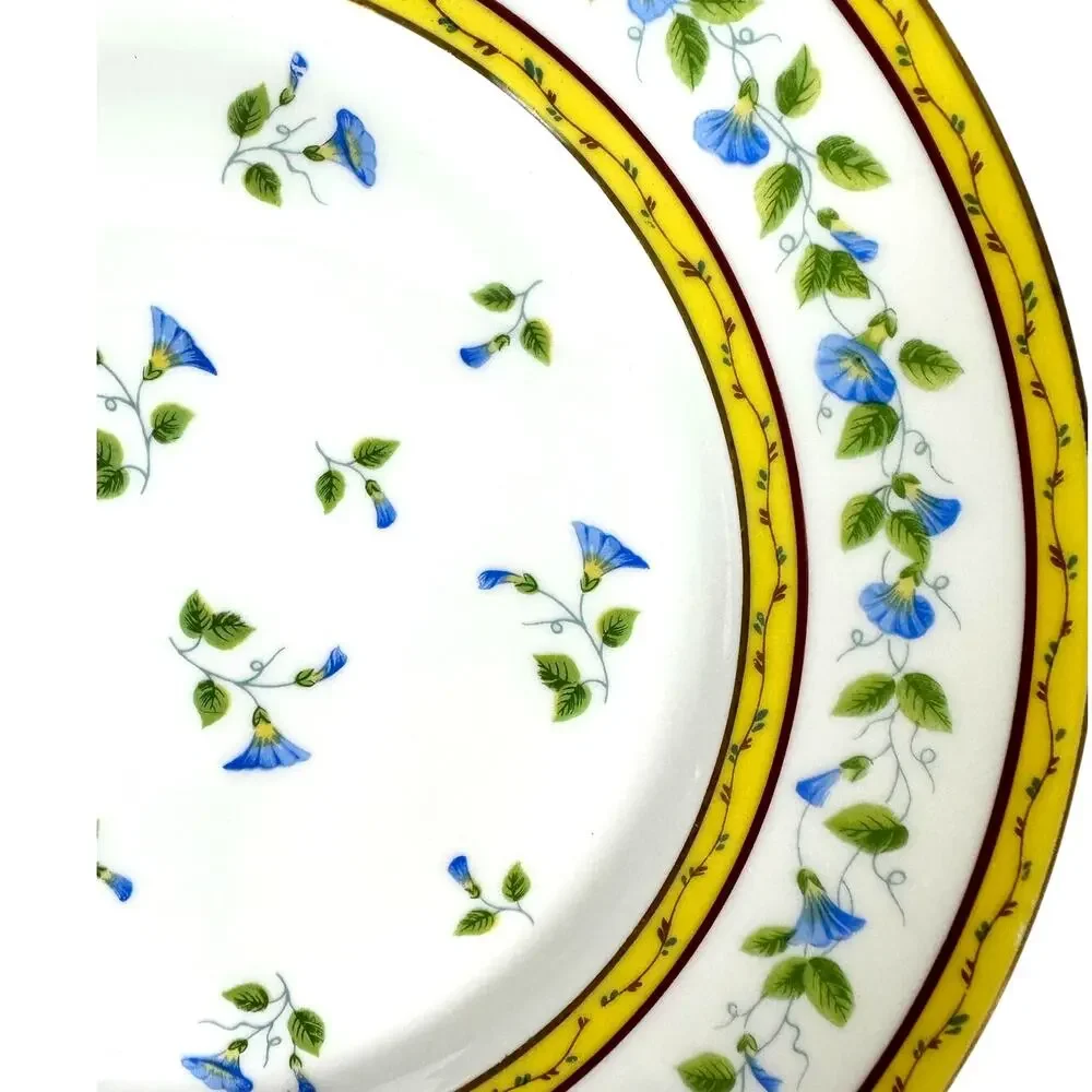 Raynaud Ceralene Limoges Morning Glory Spray 10.75